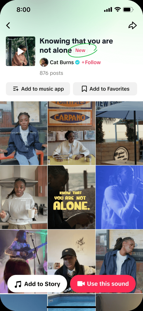 Boost Your Music Career With TikTok Artist Accounts Boost Your Music Career With TikTok Artist Accounts3