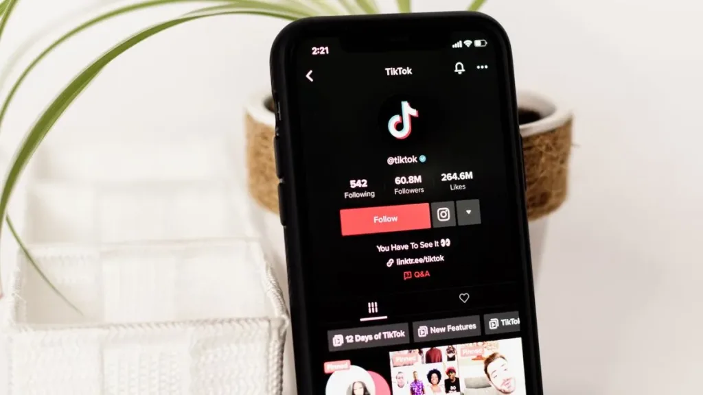 TikTok CEO Tap-Dances Around Growing US Security Concerns