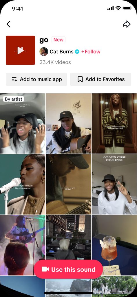 Boost Your Music Career With TikTok Artist Accounts5