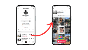 TikTok Artist Certification 1