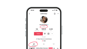 TikTok Artist Certification 2